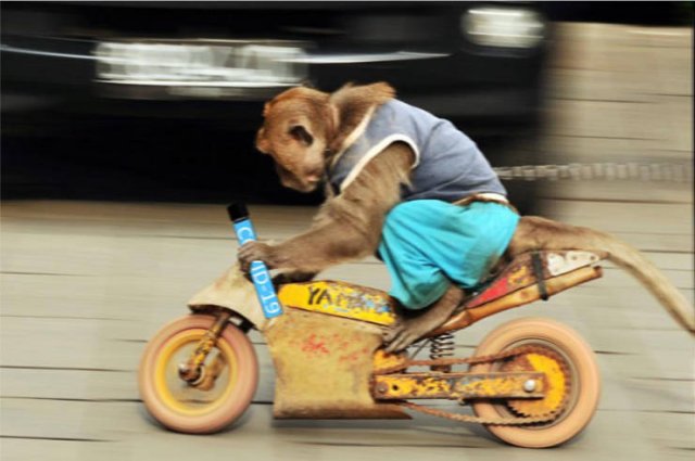 Acid Picdump. Part 2 (95 pics)
