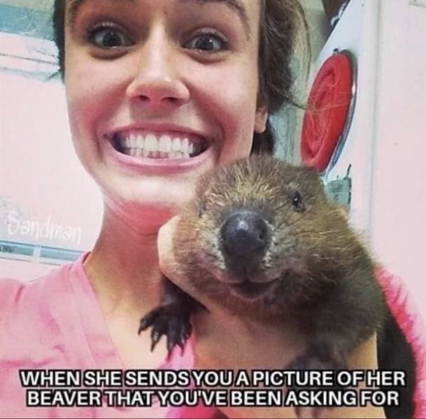 Acid Picdump. Part 1 (95 pics)