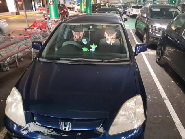 Acid Picdump. Part 1 (95 pics)