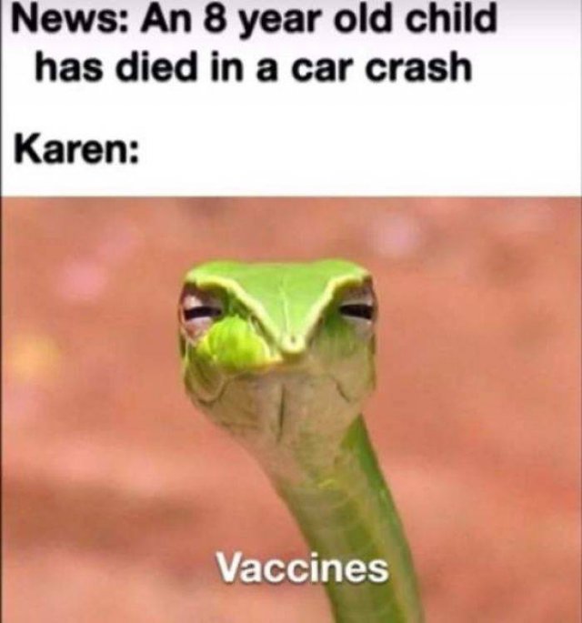Karen Memes (40 pics)