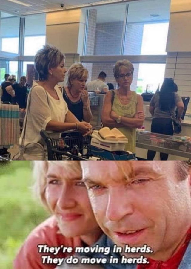 Karen Memes (40 pics)