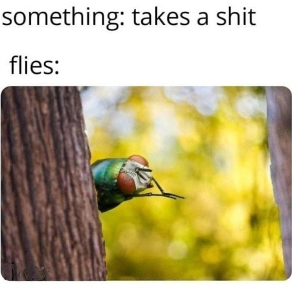 Random Funny Memes (26 pics)