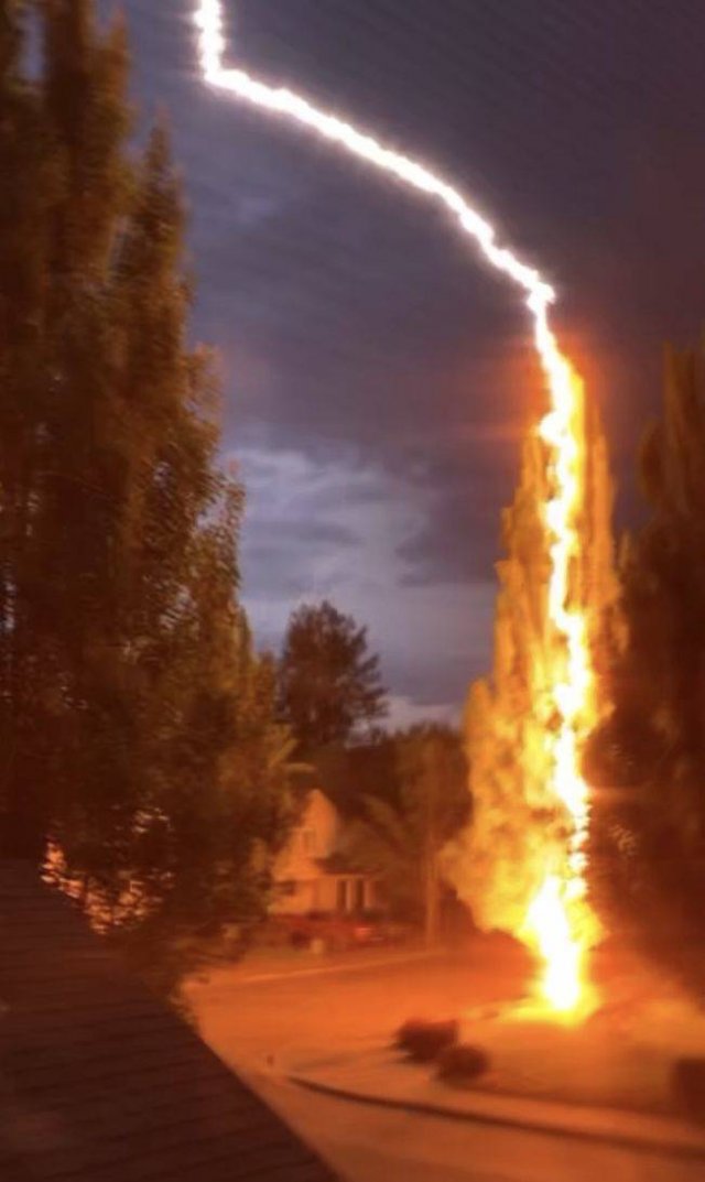 Acid Picdump. Part 1 (96 pics)