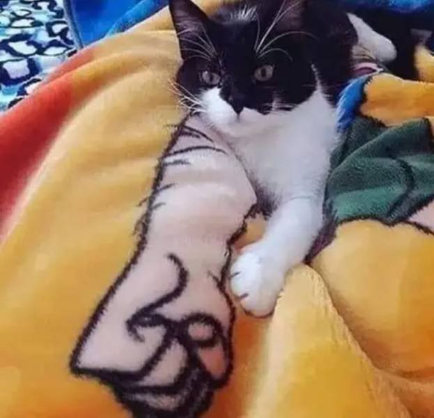 Acid Picdump. Part 1 (96 pics)