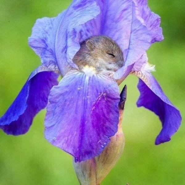 Acid Picdump. Part 1 (96 pics)