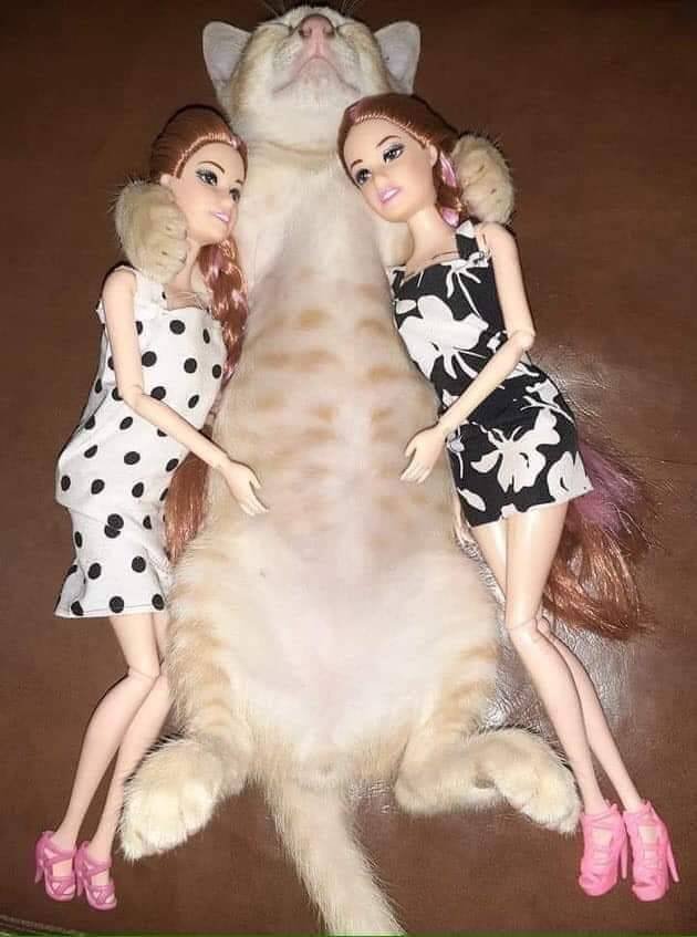 Acid Picdump. Part 1 (96 pics)