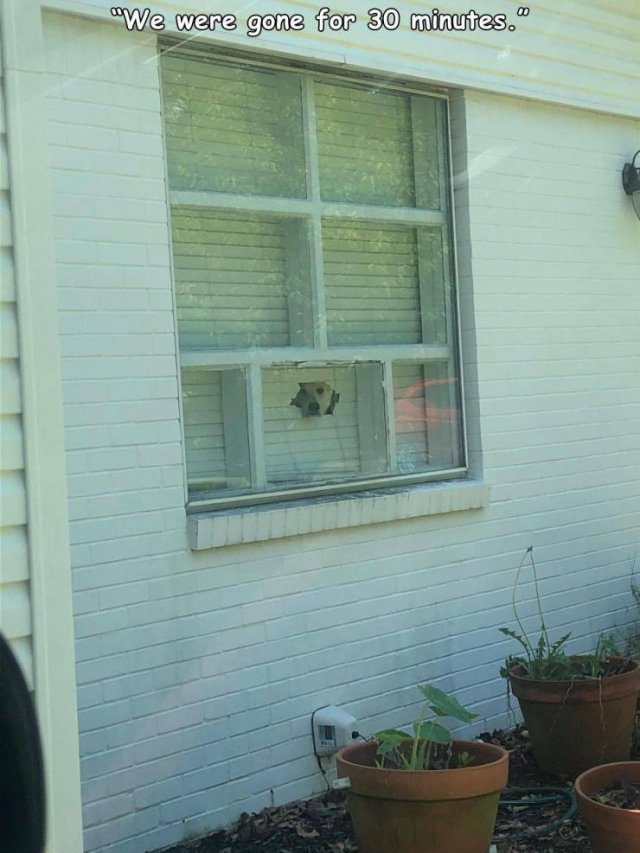Acid Picdump. Part 1 (96 pics)