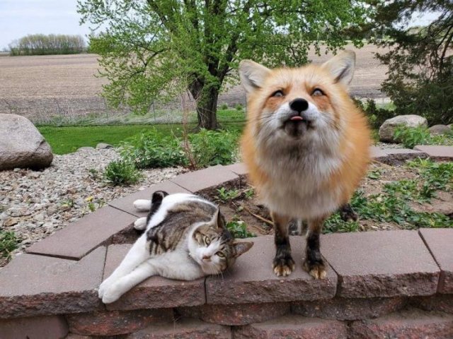 Acid Picdump. Part 1 (96 pics)
