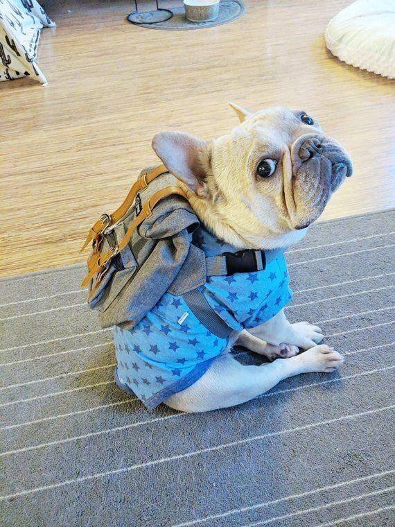 Acid Picdump. Part 1 (96 pics)