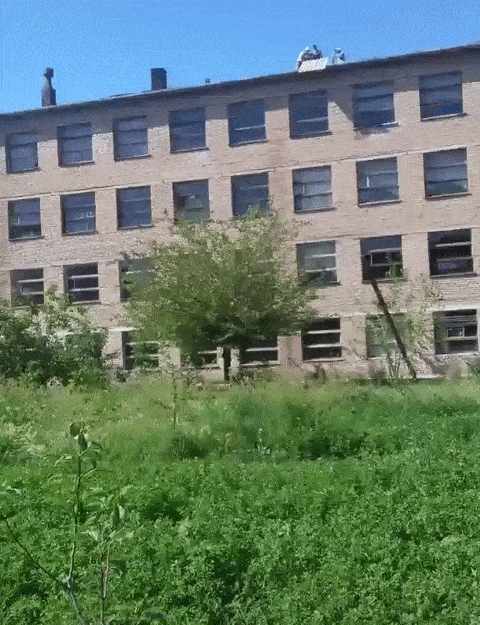 Acid Gifdump, June 1 (25 gifs)