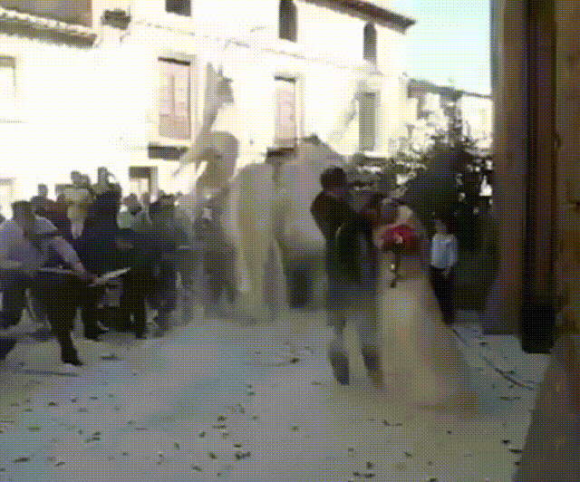 Acid Gifdump, June 1 (25 gifs)