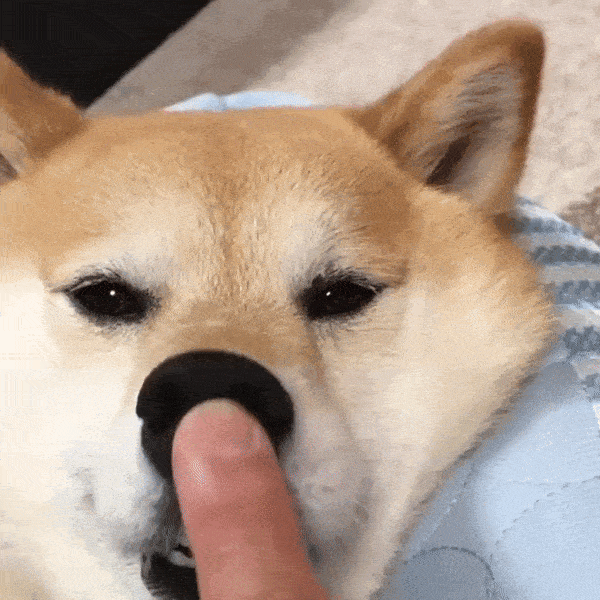 Acid Gifdump, June 1 (25 gifs)