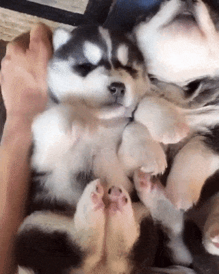 Acid Gifdump, June 1 (25 gifs)