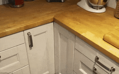 Acid Gifdump, June 1 (25 gifs)