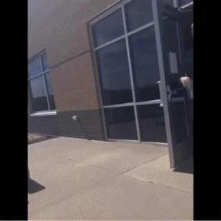 Acid Gifdump, June 1 (25 gifs)
