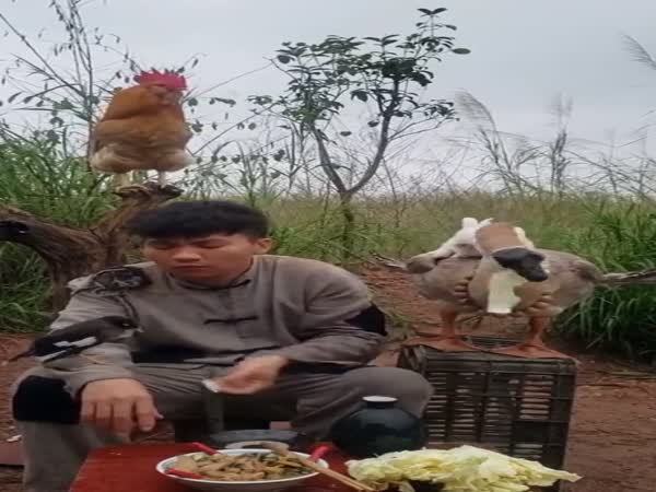 What People Think When I Say I'm From Mongolia