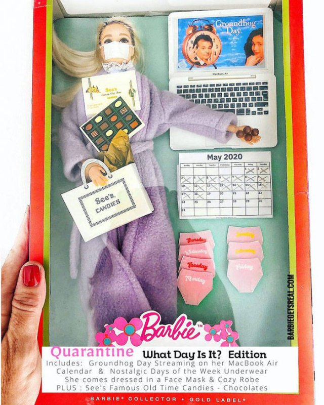 Quarantine Barbies (12 pics)