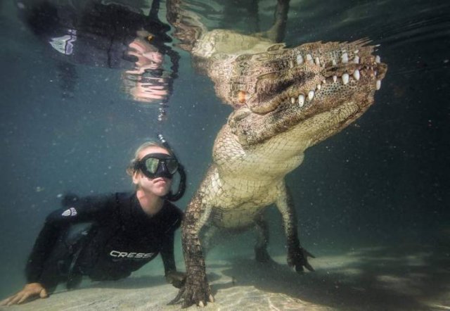 Acid Picdump. Part 1 (96 pics)