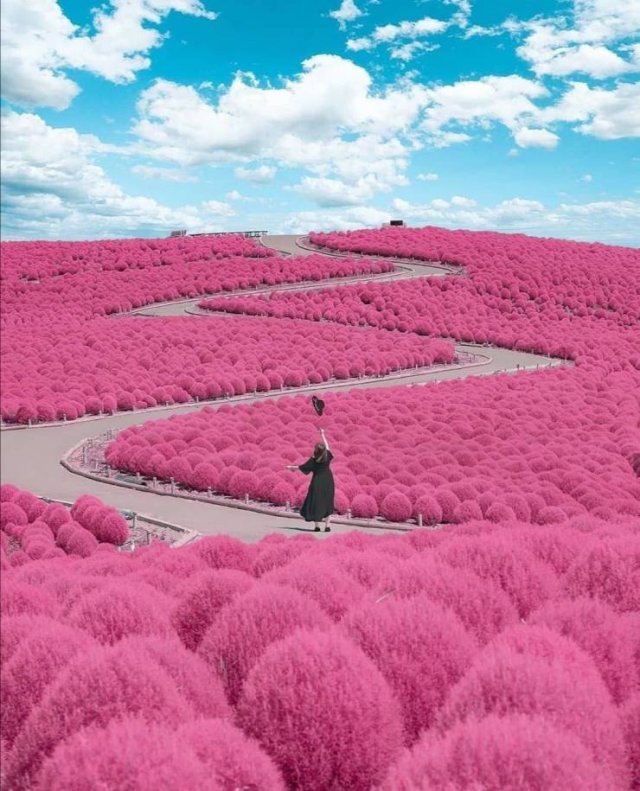 Acid Picdump. Part 1 (96 pics)