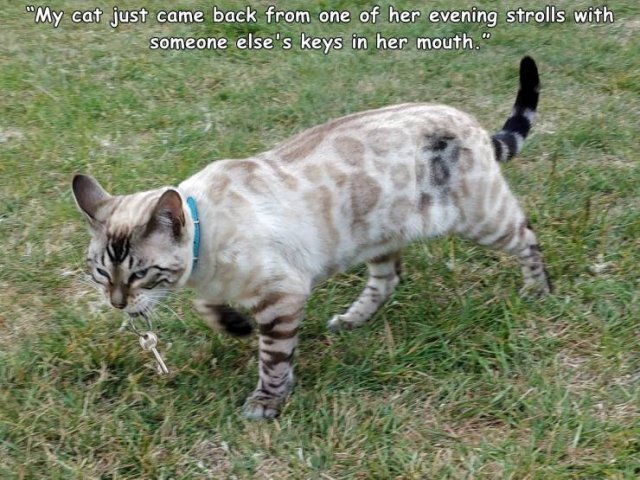 Acid Picdump. Part 1 (96 pics)