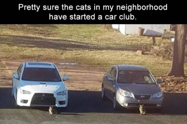 Acid Picdump. Part 2 (96 pics)