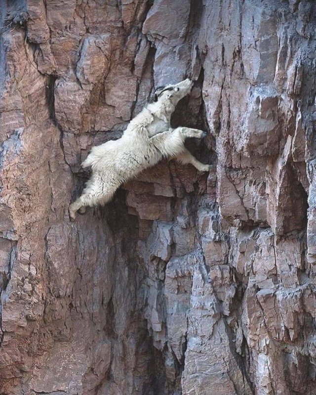 Acid Picdump. Part 1 (96 pics)
