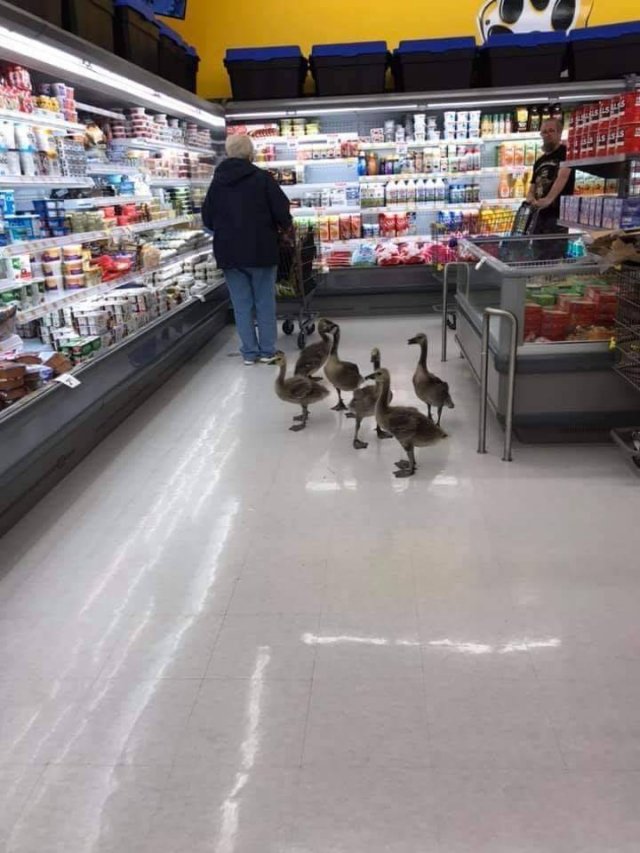 Acid Picdump. Part 1 (96 pics)