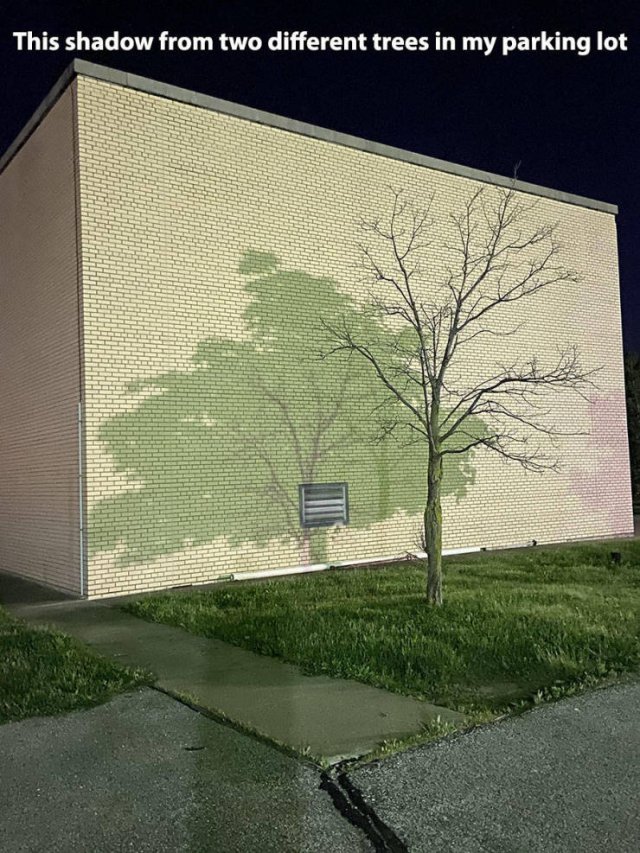 Acid Picdump. Part 2 (96 pics)