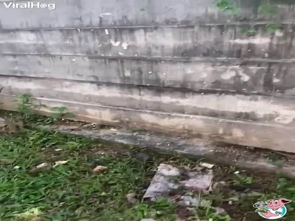 Wait For It