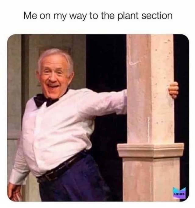 Plant Memes (21 pics)