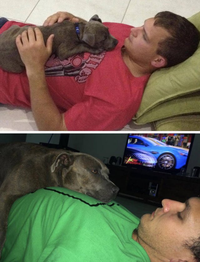 Growing Up With Pets (18 pics)