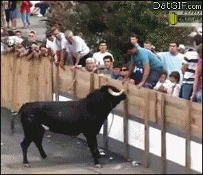 Fails (25 gifs)