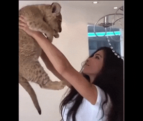 Fails (25 gifs)