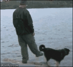 Fails (25 gifs)