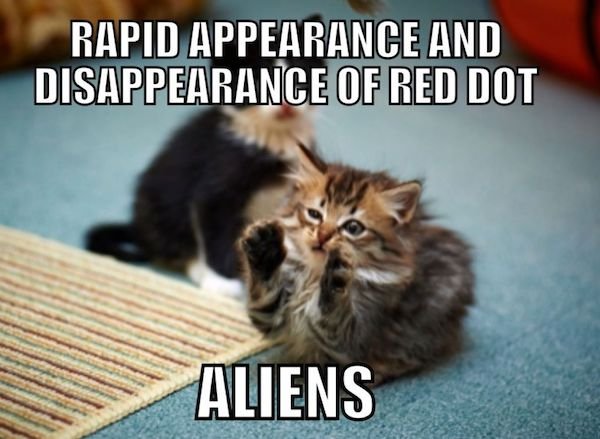 Cat Memes (44 pics)