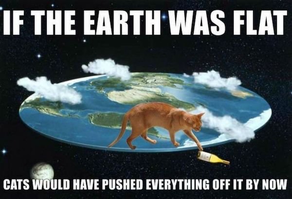 Cat Memes (44 pics)