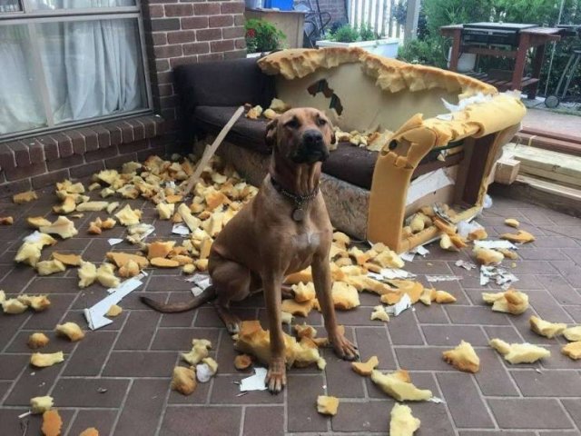 Acid Picdump. Part 1 (95 pics)
