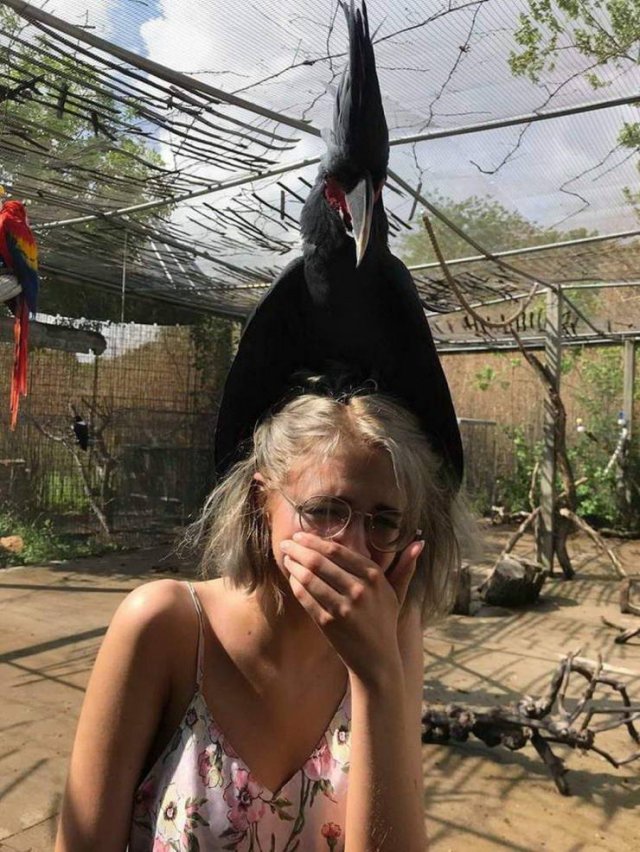 Acid Picdump. Part 1 (95 pics)