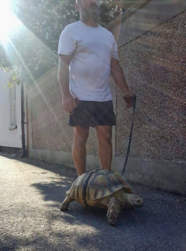 Acid Picdump. Part 2 (96 pics)