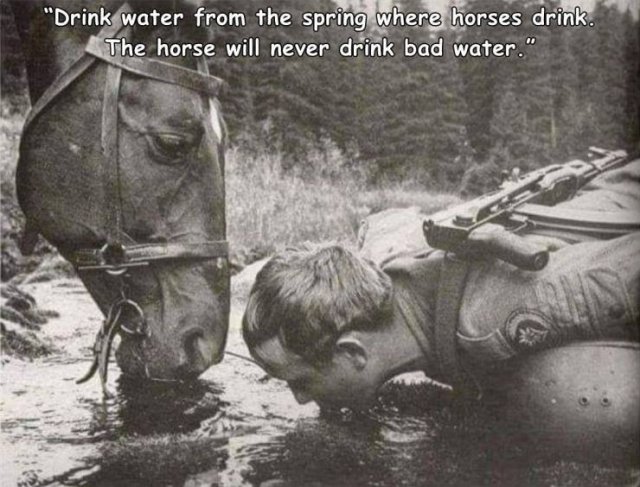 Acid Picdump. Part 1 (95 pics)