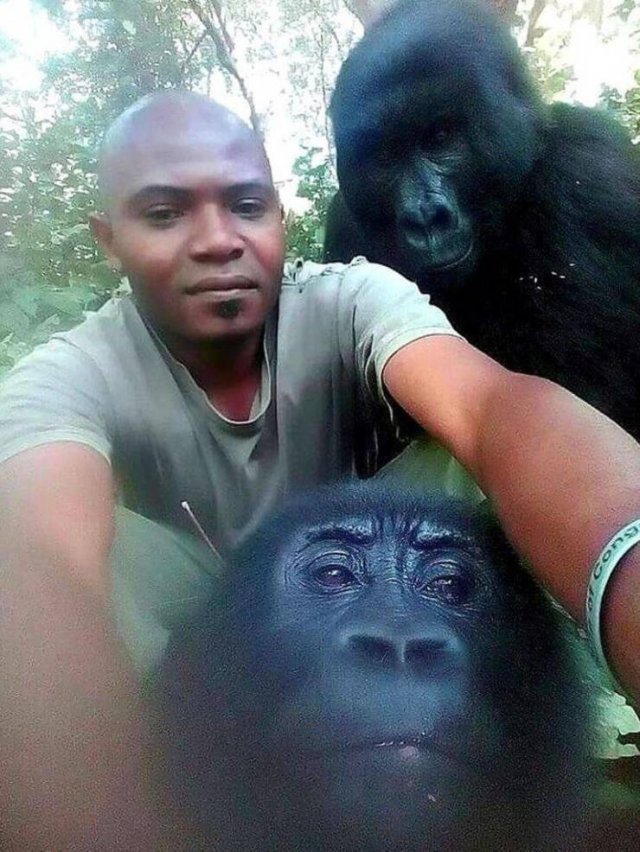 Acid Picdump. Part 1 (95 pics)