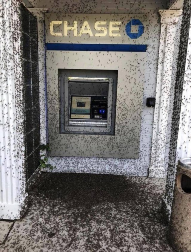 Acid Picdump. Part 1 (95 pics)