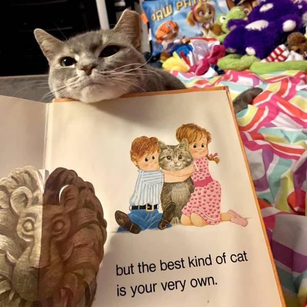 Acid Picdump. Part 1 (95 pics)