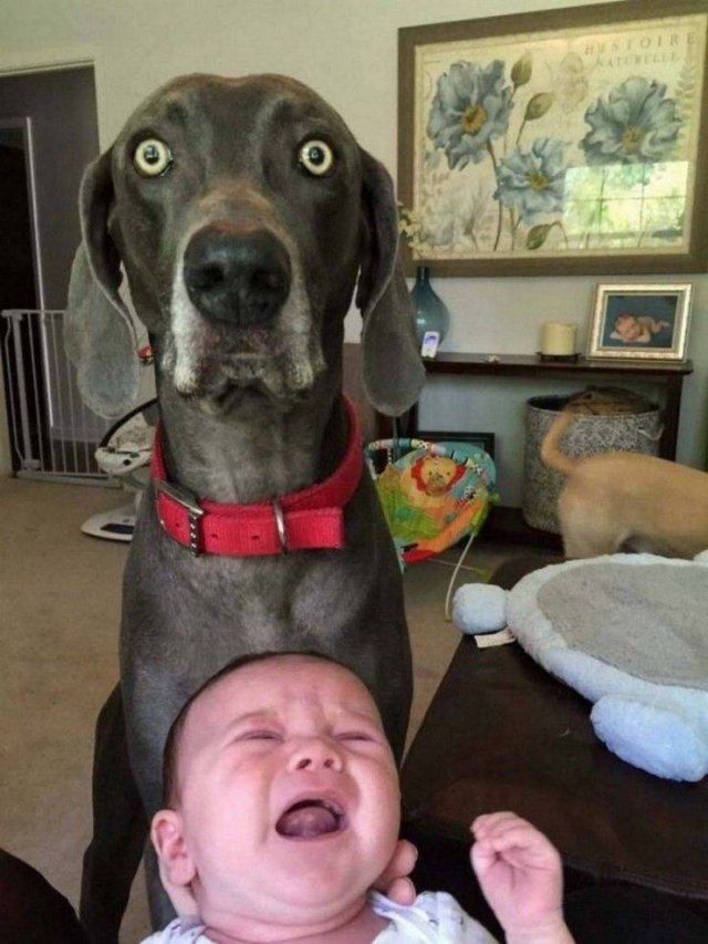 Acid Picdump. Part 1 (95 pics)