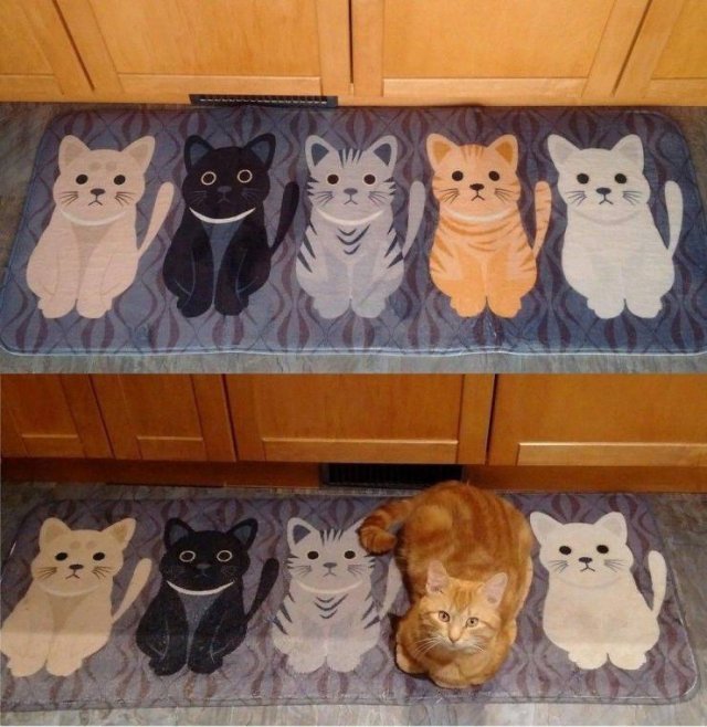 Acid Picdump. Part 1 (95 pics)