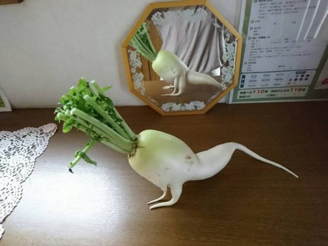 Acid Picdump. Part 2 (96 pics)