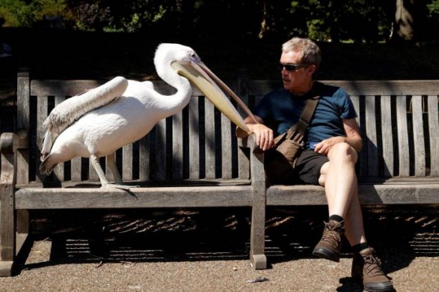 Acid Picdump. Part 1 (95 pics)