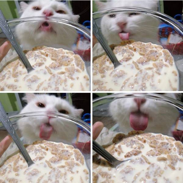 Acid Picdump. Part 1 (95 pics)