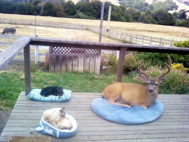Acid Picdump. Part 1 (95 pics)