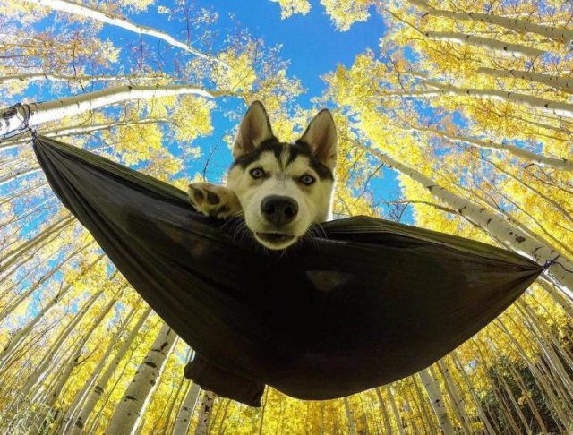 Acid Picdump. Part 1 (95 pics)